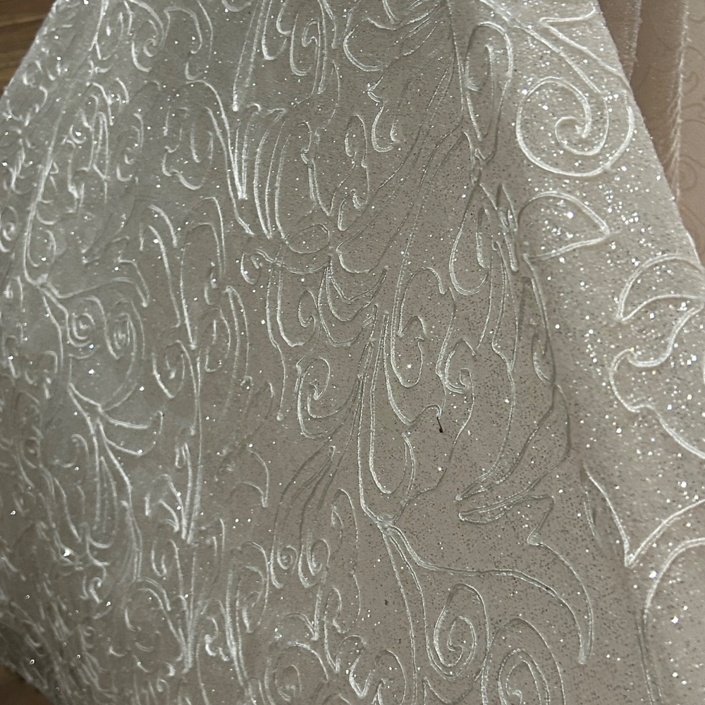 Amalia Carerra Bridal Gown Size 14 - Picture 6 of 16